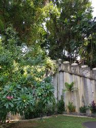 Emerald Garden (D1), Condominium #206698951